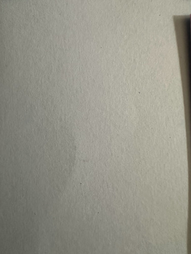 146.jpg