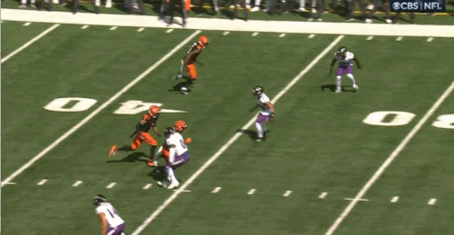 GIF 10 6 2024 1 30 26 PM.gif