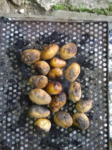 461148047 1227248082030112 2656811357130967991 n.jpg