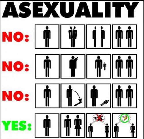 L8OZ4DbJFU.png