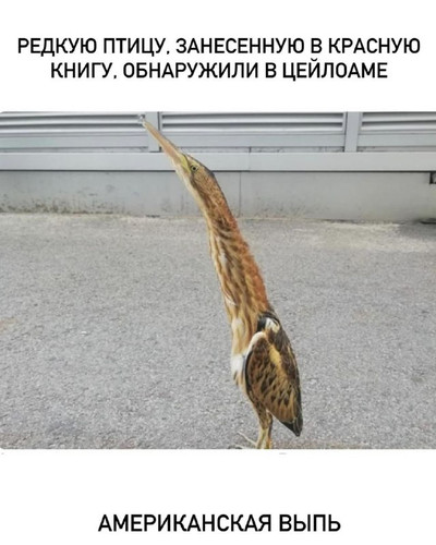 aptE2vHmVGpQ 0BXoJCIlj07rycirkS2SCZZU9FK16dFyPkWKUja8oKzOmEy17GBbcaSSKro758n fLyro115x 5UbkHCTfCq8B .jpg