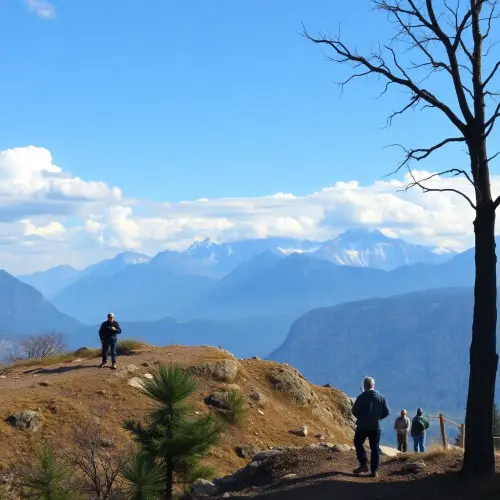347791751447506855362611323700777.webp