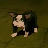 iggy.webp