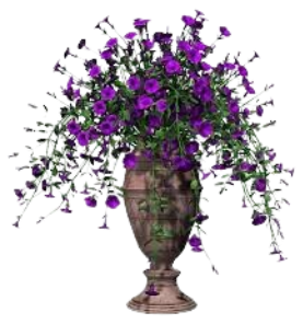 image 2024 10 04 211050502.png