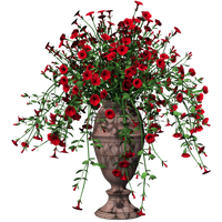 image 2024 10 04 211512397.png