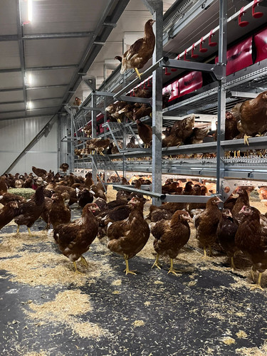 995edd8a bf8b 4ea8 9eb2 efe3eb3a0984.jpg