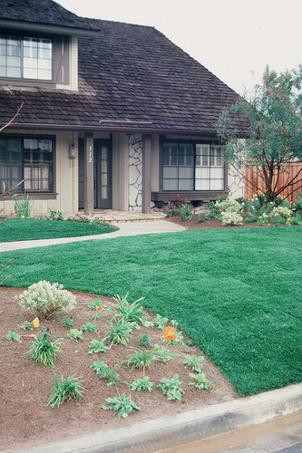 Marathon 2 grass..jpg