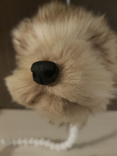 1728142509 734667260.jpg