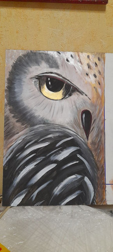 1728141931 3793693.jpg