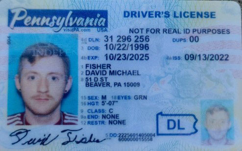 David Fisher license image.jpg