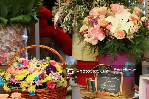 461999815 555056927178444 5112152876454983369 n.jpg?stp=dst jpg p180x540& nc cat=108&ccb=1 7& nc sid.jpg