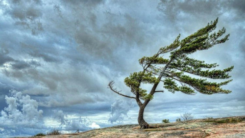 462358689 553070867170048 798079248201944973 n.jpg?stp=dst jpg tt7& nc cat=110&cb=99be929b defccdb7&.jpg