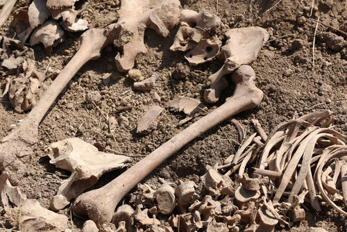 GY TrxvWwAAa m ?format=jpg.jpg