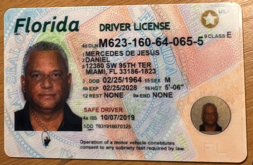 Daniel Dejesus Mercedes license image.jpg
