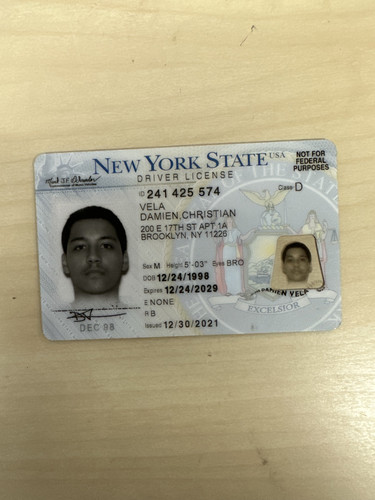 Damien Christian Vela license image.jpg