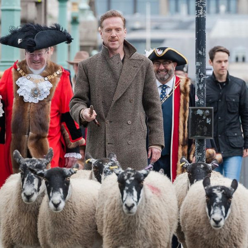 462192948 951265523703376 588024727401484243 n.jpg?stp=dst jpg s600x600& nc cat=109&ccb=1 7& nc sid=.jpg