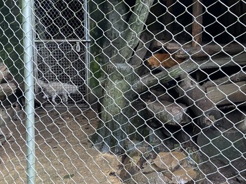 288C0416 E0AB 48C9 94A8 8B8493CD4FE2.jpg