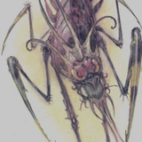 Screenshot 2024 10 06 022946.png