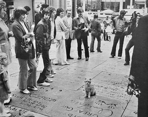 462117100 1012485410918050 8548525831705720953 n.jpg