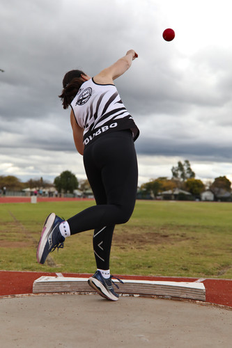 53796765908 3e8c2accee k