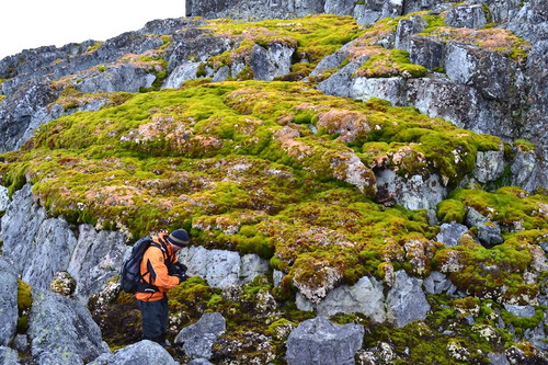 GZOAxjZXsAAx oY?format=jpg.jpg