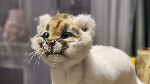 1728148445 2088696803.jpg