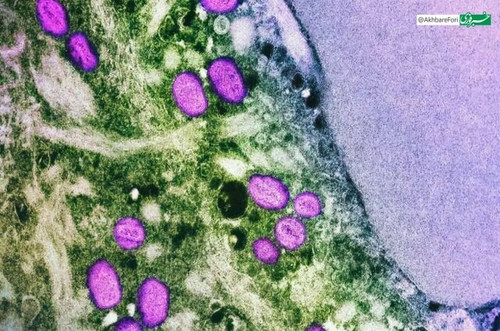 l8kHpTWc0sqodM643 sPCf9OfB9vitsDopXOLQxv uxQGVYeq9Z6VWrpVGd XSvYshI bLp3HavcGKxFVTDLWrfCbs3d2N01biDh.jpg