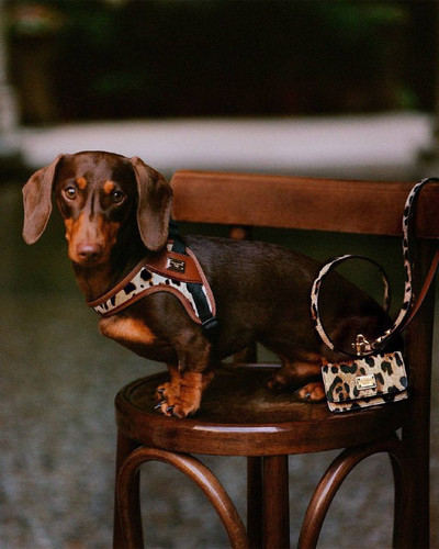 YrB0gxhyfZAKgFe5R8g7Wf0vWSYdoszqj0ukd8yBfxBCiMmrAhYDnvehJ5U8IRSs1TZPRvHn08bOVP wX3l K995LOYfo7wFR3JM.jpg