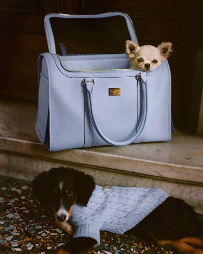 VLgZbr BAqdWZi9bDWoRxFaWslBjscGCM6CcvuJxbEUBrTS03tLAnQKMV42IbDi4g xs8gF4JfinvtGNkHeZTquHewVf KzHYjXv.jpg