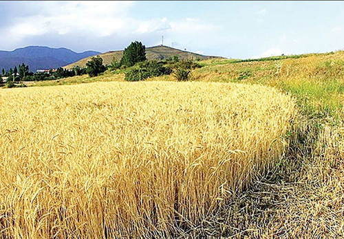 eCjlQFf3aLvA5rrhk3 ieo8sROHIUZuNwnBxp9jZu 2ZoTiQ3 Y7srswEfrLJ7Xqm5TEoCJAaK5cu2i9Qk3slvZGOedjB euNfUf.jpg