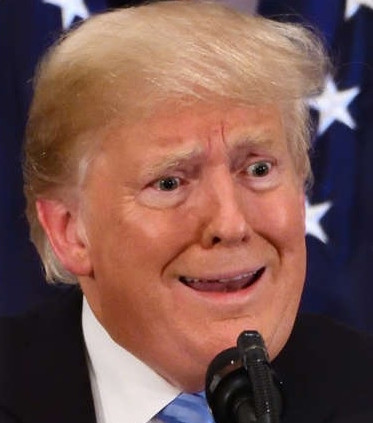 stable genius.jpg