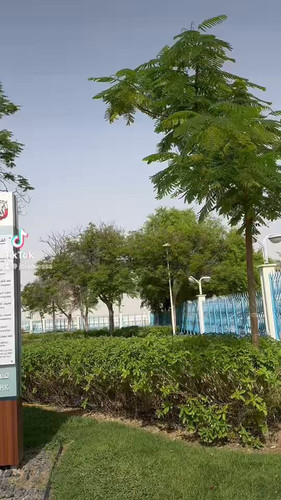 G2S vFWnAOXHPHQF.jpg