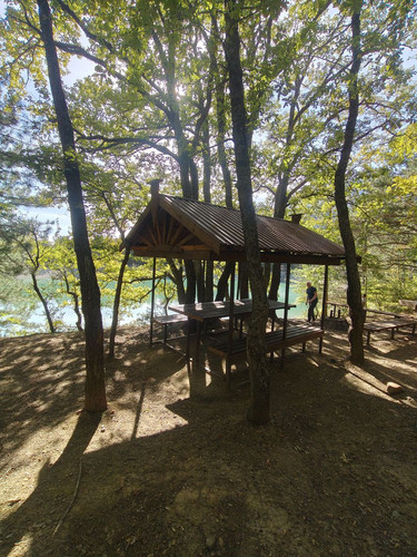 1728240403 1836277796.jpg