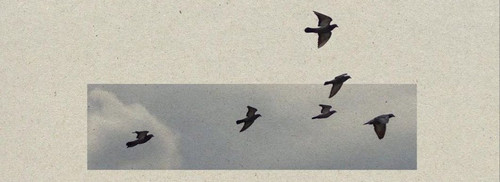 GZIMjgqW4AE rsh?format=jpg.jpg