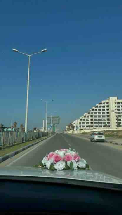 5CA33E4F 76C1 47BF AB73 48B34225FEB1.jpg