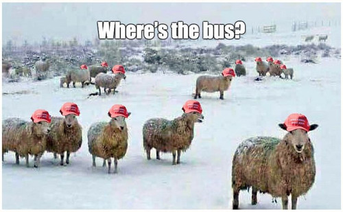 trump supporters.jpg