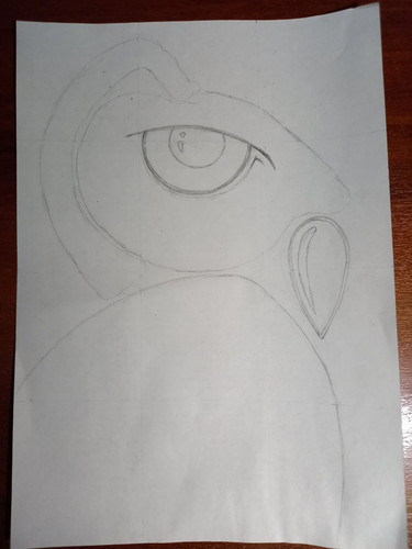 1728151116 708113855.jpg