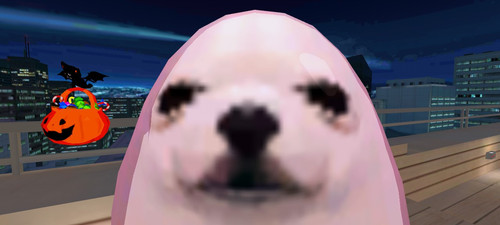 imagen.jpg