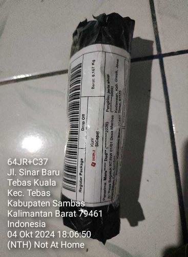 fisik marsianus duudt.jpg