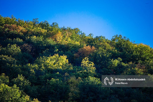 nc1zVcIlLmfqFydMxiBZqVtMfh5qguITvSZKsknqrxR b4T8OanWpqzAOAI4MbTcuiPpq795 FY xmy4VVl3iM7xw8utbGdLobRt.jpg