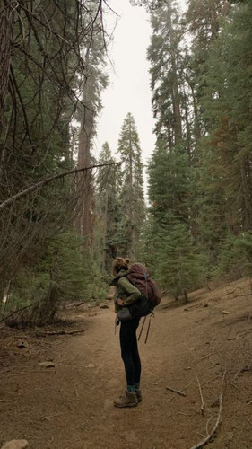343. Summer Trail.jpg