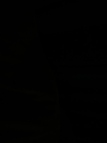 F237DBF9 80A7 4AF1 86D7 F2F966B08FBE 2024 10 05 at 12.55.01 AM.jpg