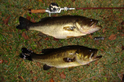 DSC07394.jpg