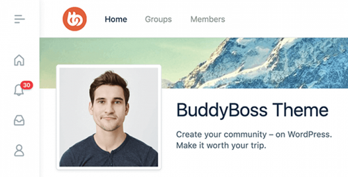 buddyboss 767x390 1.png