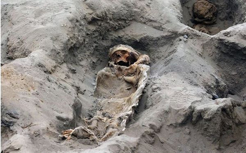 462222067 999688018839029 4416929532179382449 n.jpg?stp=dst jpg s600x600& nc cat=102&ccb=1 7& nc sid.jpg