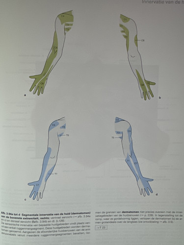d25be0392af5.jpg