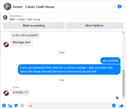 Amera.png