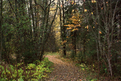 IMG 2595.jpg