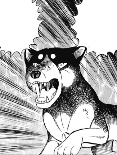 2024 10 06 0li Kleki