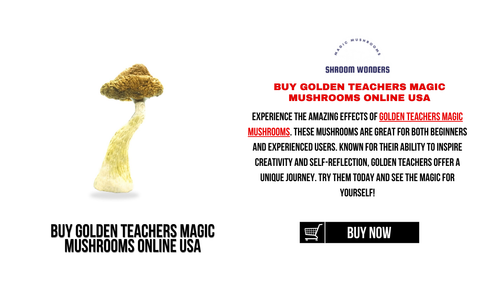 Buy Golden Teachers Magic Mushrooms Online USA Shroom Wonders.png